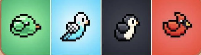 BIRD Daily Combo 5 June 2025